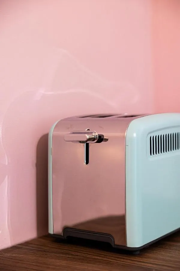 La Vie En Rose - Appartement Cosy - Centre Ville 欧什